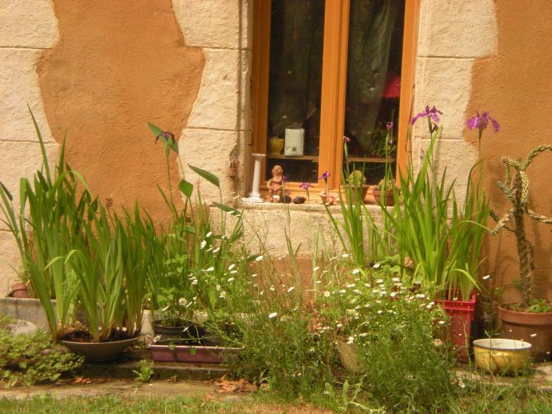 Le Moulin Des Marionnettes image