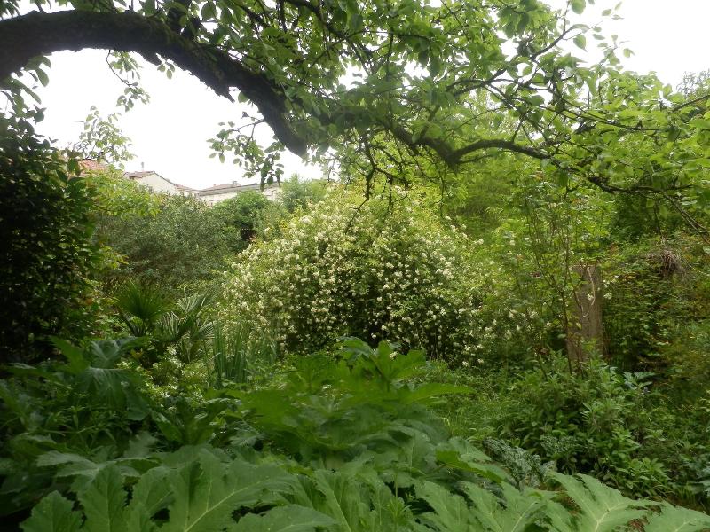 Le Moulin Des Marionnettes image