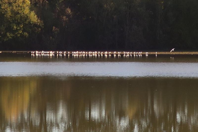 Le Moulin Des Marionnettes image