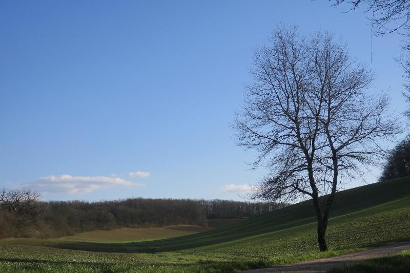 Le Moulin Des Marionnettes image