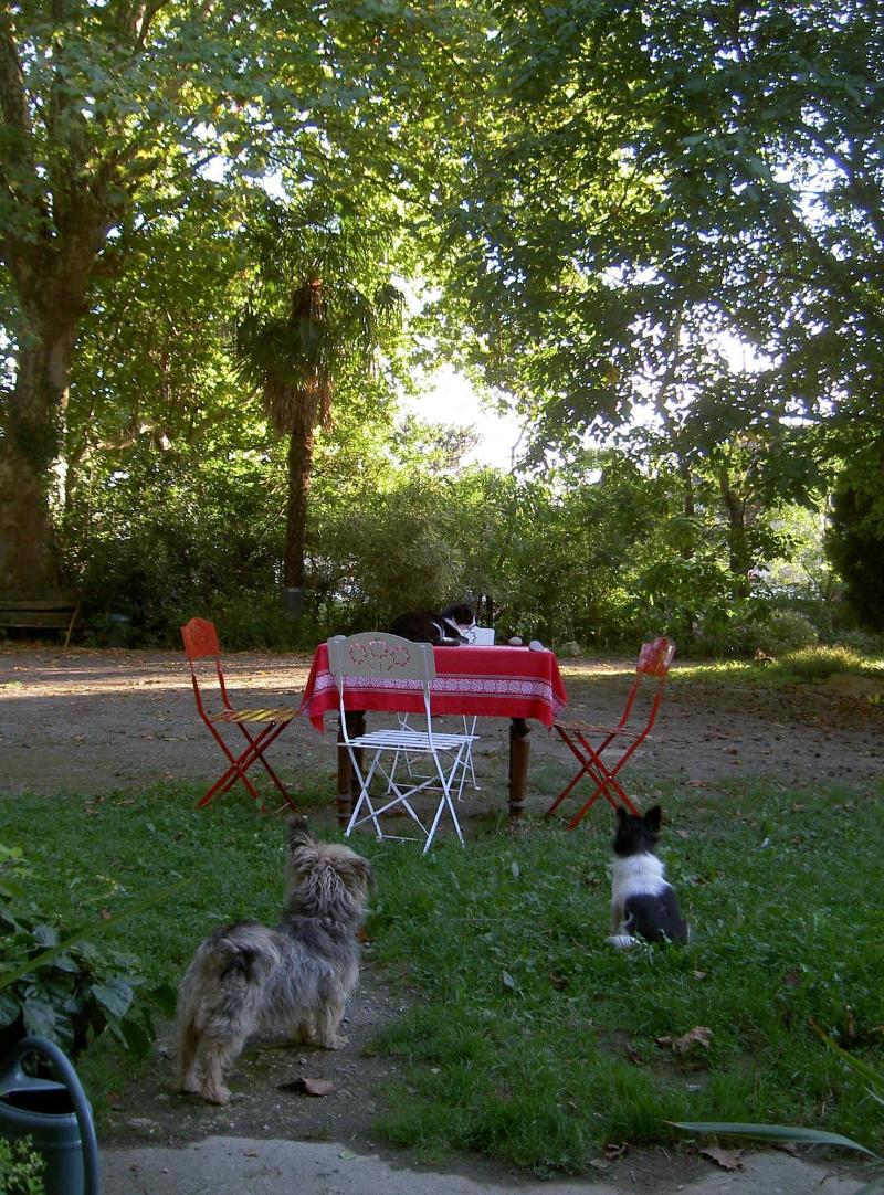 Le Moulin Des Marionnettes image