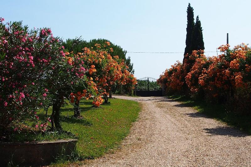 Domaine De Millox image