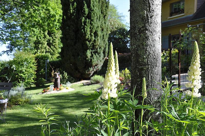 Au Jardin De Lisa image
