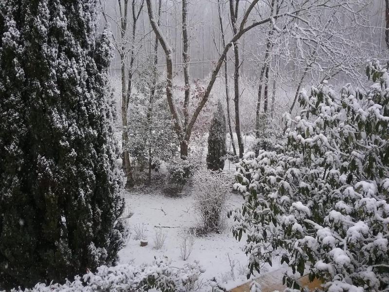 Au Jardin De Lisa image