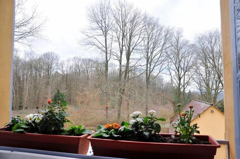 Au Jardin De Lisa image