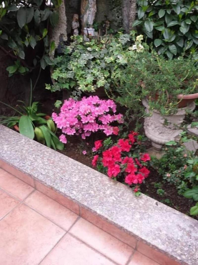 Albergo Renato image