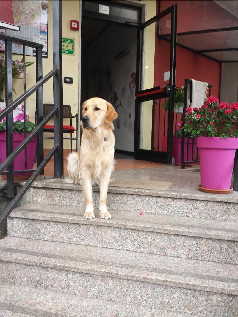 Albergo Renato image