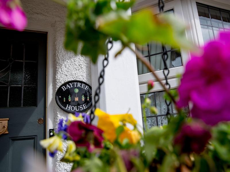 Bay Tree House B&B image