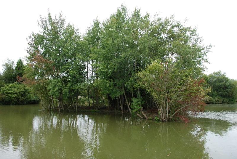 The Waterfront Lodges image