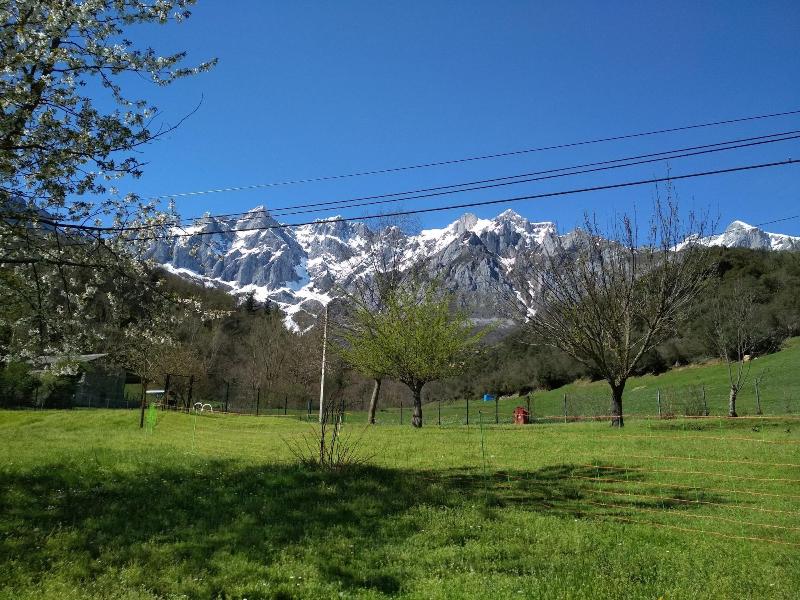 Hotel El Jisu image