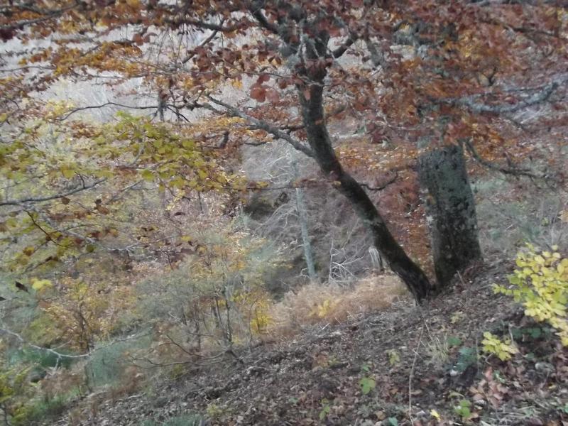 La Montaña Palentina image
