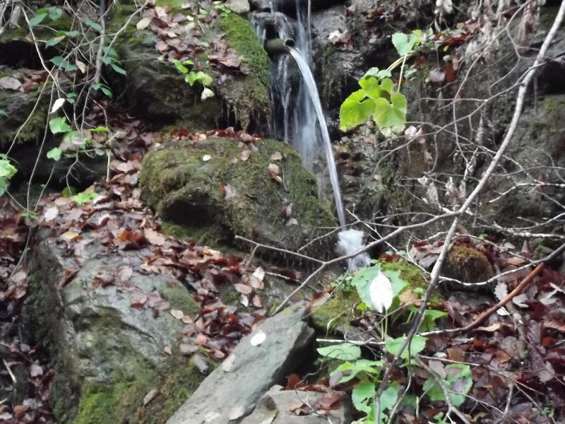 La Montaña Palentina image