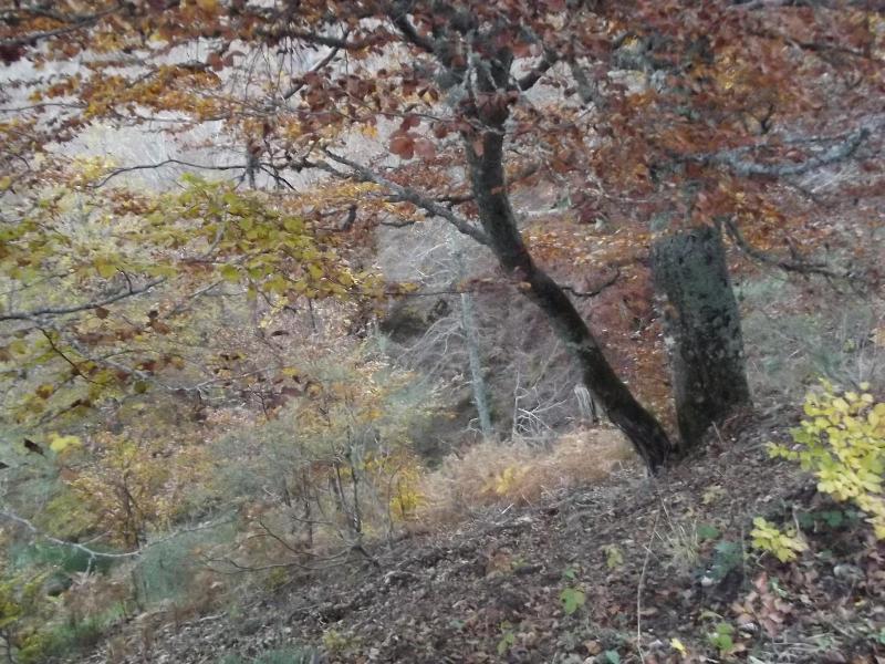 La Montaña Palentina image
