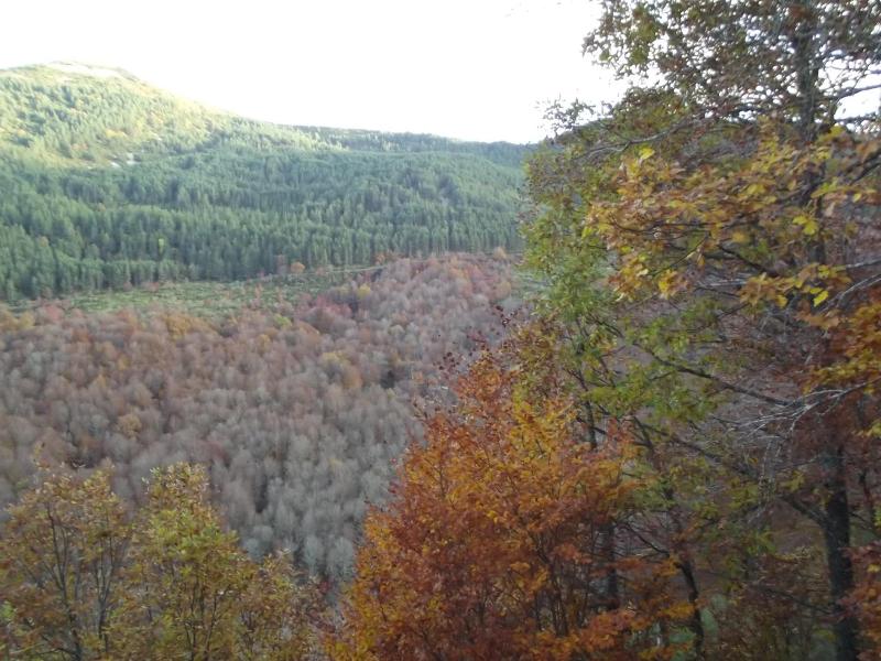La Montaña Palentina image