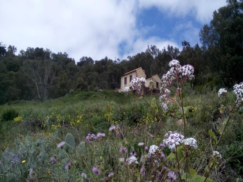 Casa Rural Las Caldereras image