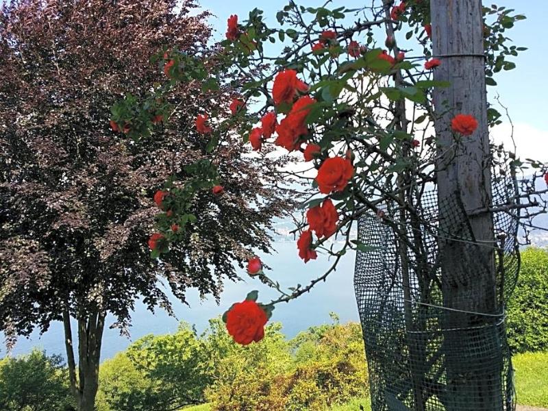 Locanda Pozzetto image