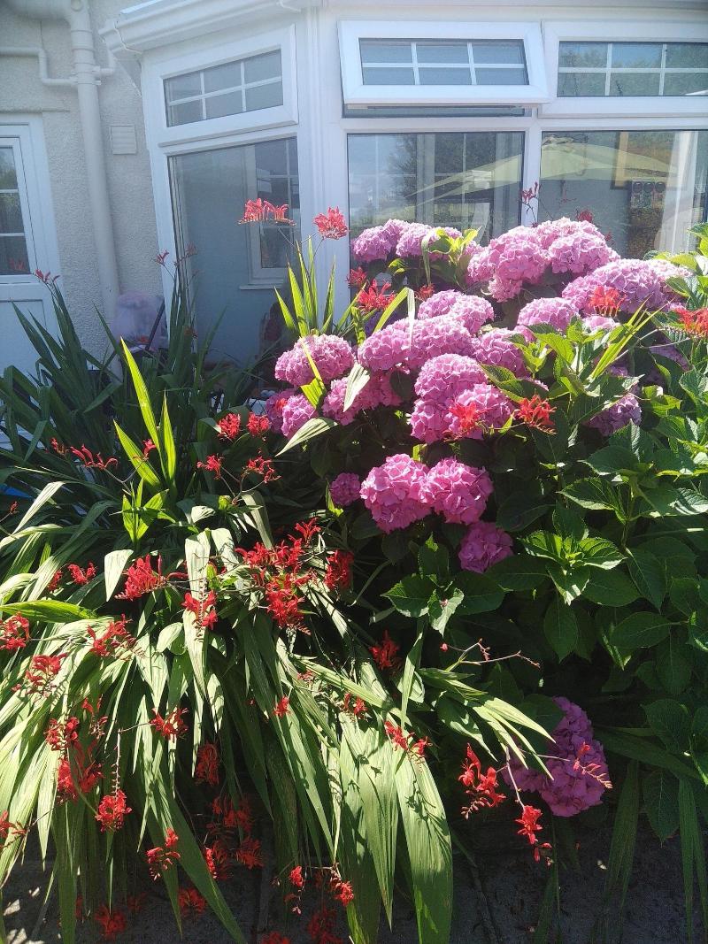 Myrtle Cottage B&B image