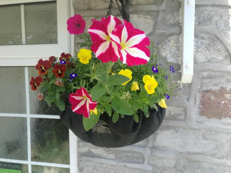 Myrtle Cottage B&B image