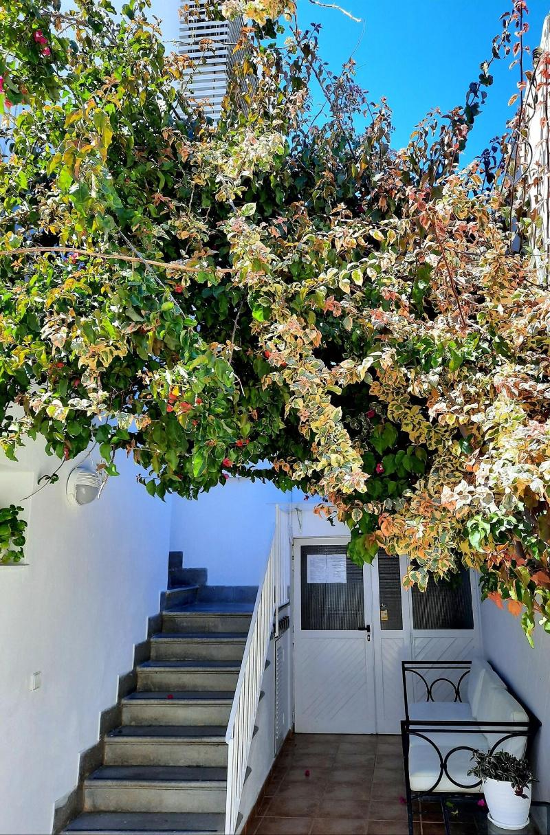 Hostal Costa Ibiza — general view