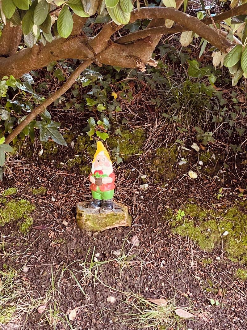 Posada La Herradura image
