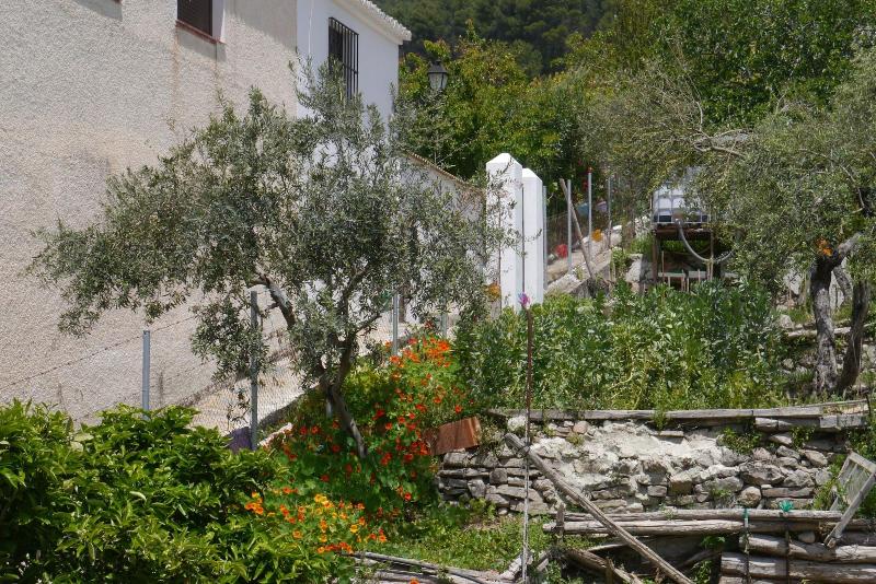 El Molino Del Abuelo image