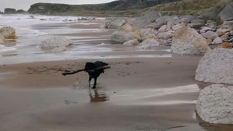 Dunseverick Ramblers Rest