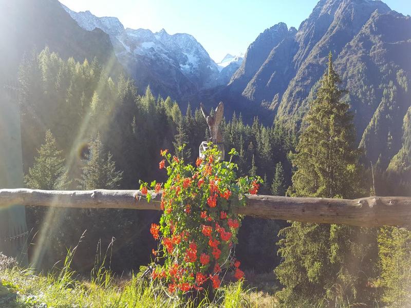 Hotel La Roccia image