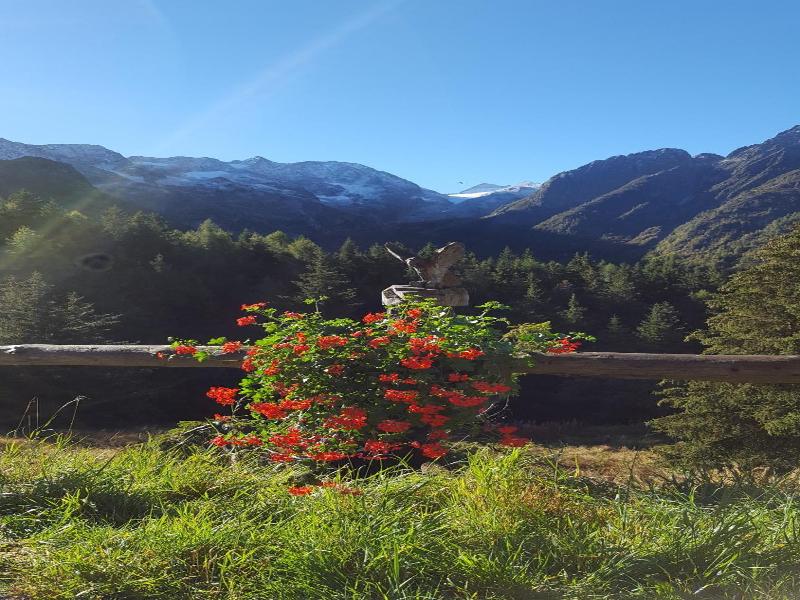 Hotel La Roccia image