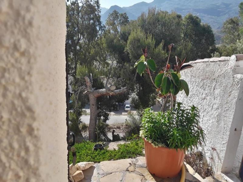 Casa Rural B&B Casamedico image
