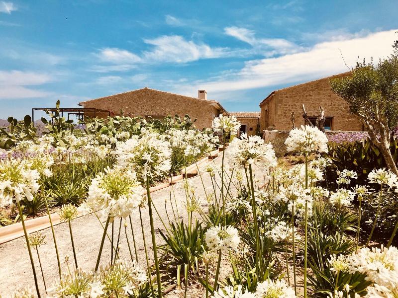 Finca Sestelrica image