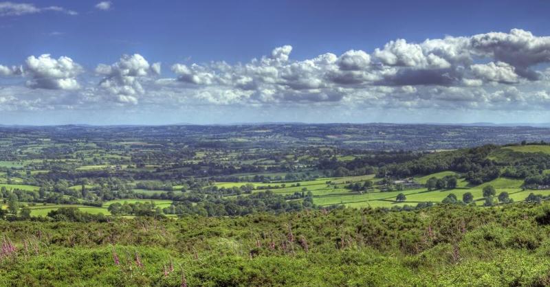 The Hopton Crown image