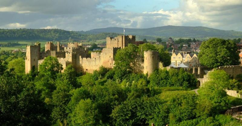 The Hopton Crown image