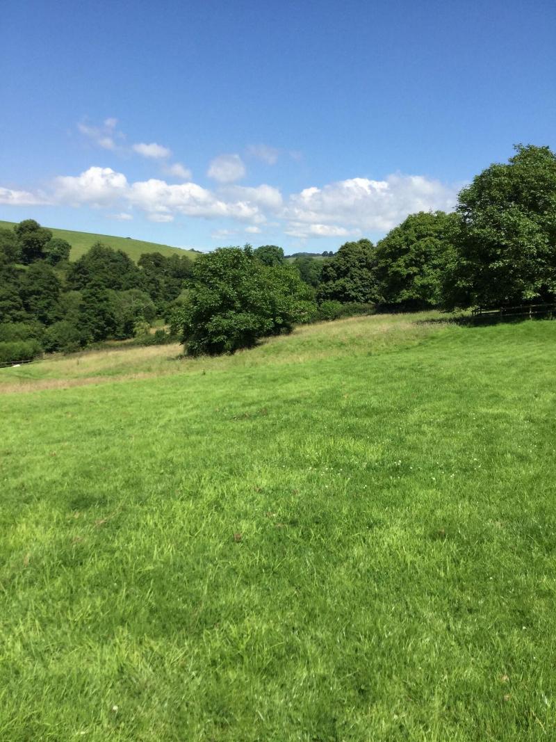 Oxbridge Farm image