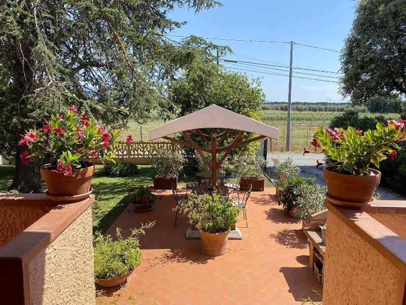 La Mimosa image