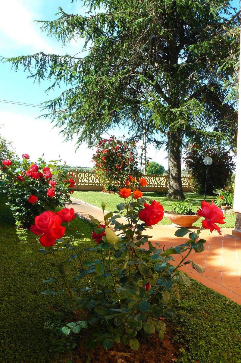 La Mimosa image