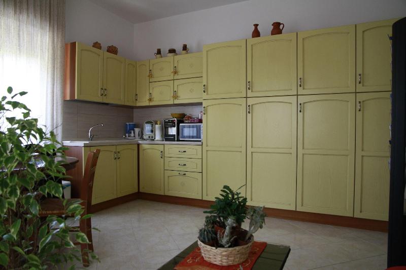 La Mimosa image