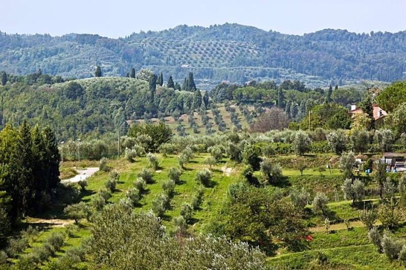 Hotel San Miniato image