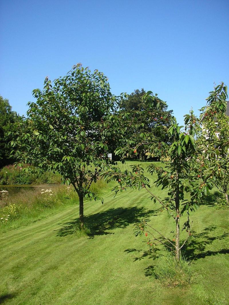 Balhousie Farm image