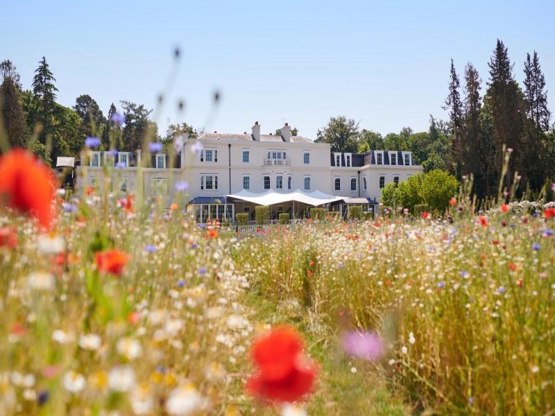 Coworth Park - Dorchester Collection image