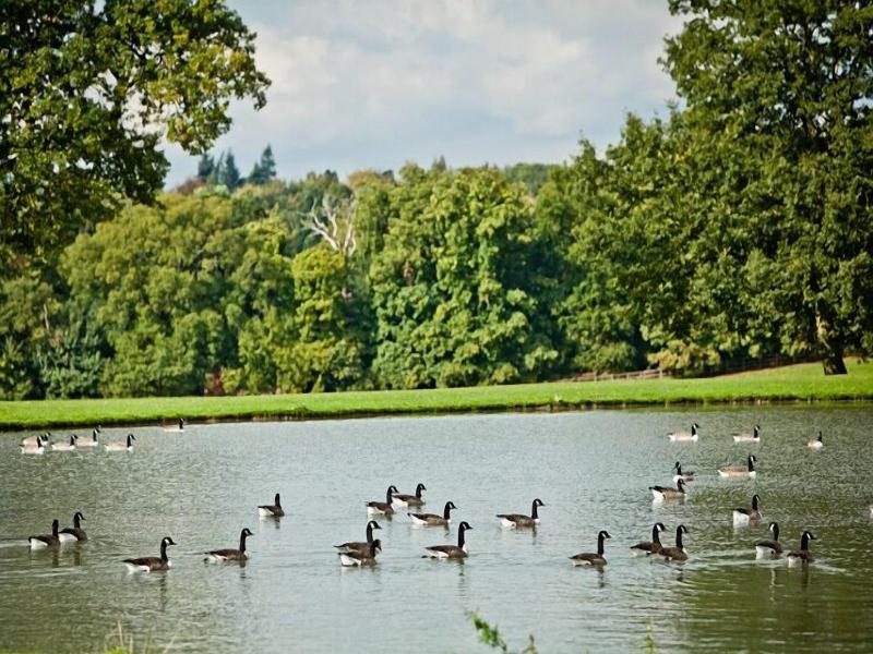 Coworth Park - Dorchester Collection image