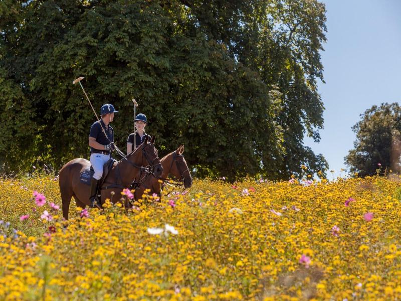 Coworth Park - Dorchester Collection image
