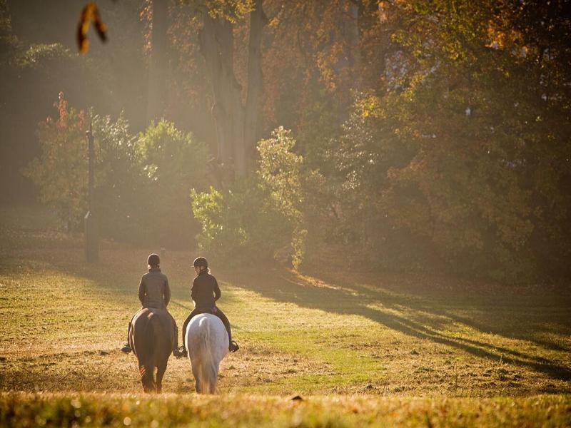 Coworth Park - Dorchester Collection image