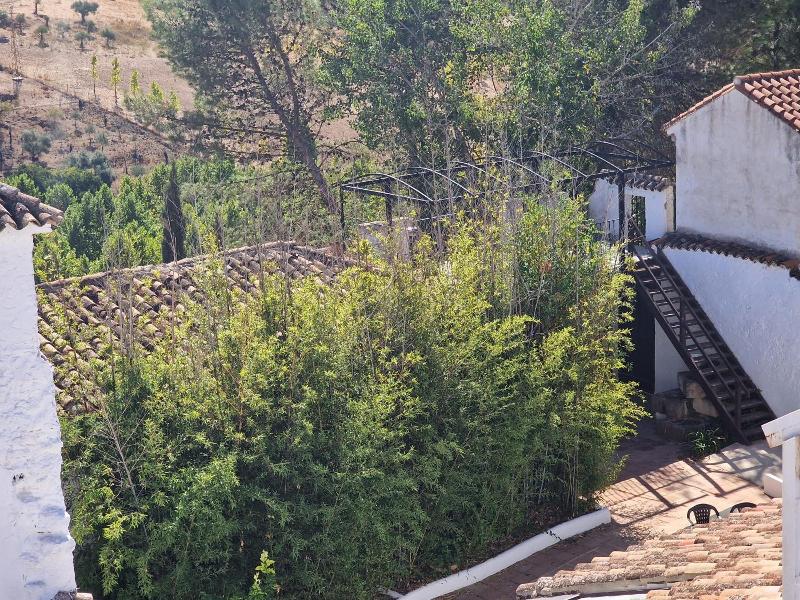 Canaan Boutique Hotel Ronda image