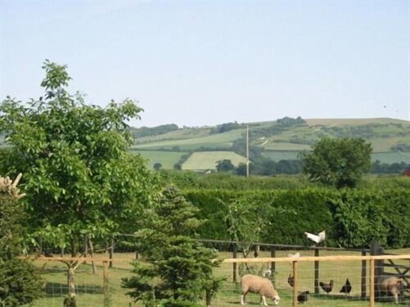 Wayside B&B image