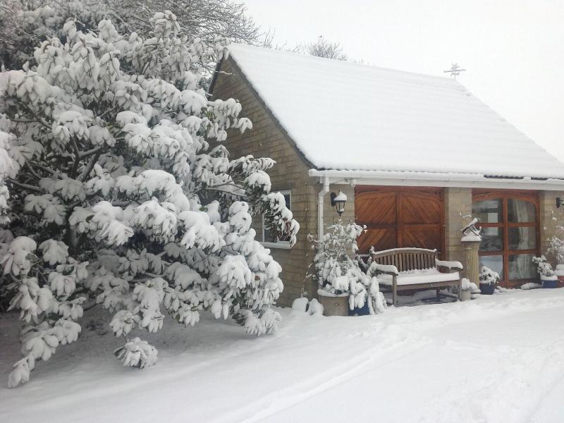 The Studio image