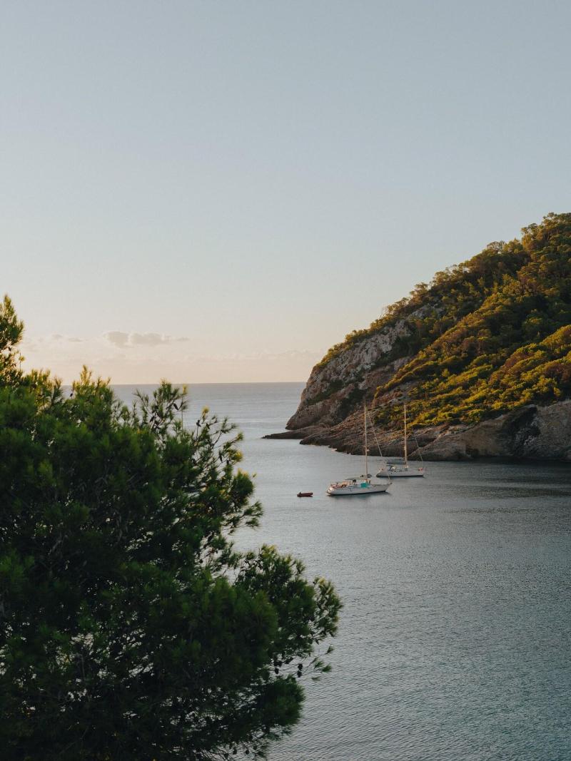 Playa Dorada At Cala Llonga Resort image