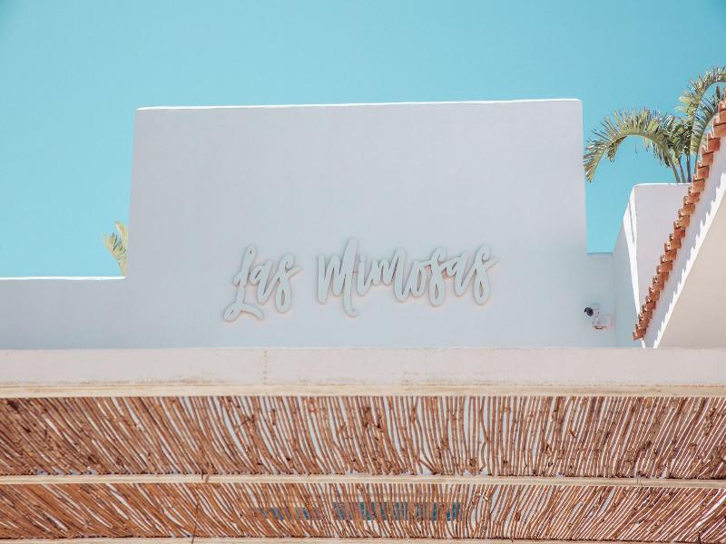 Hotel Boutique & Spa Las Mimosas Ibiza image