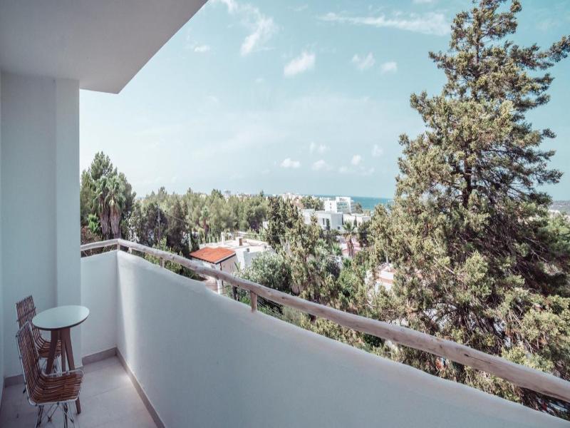 Hotel Boutique & Spa Las Mimosas Ibiza image