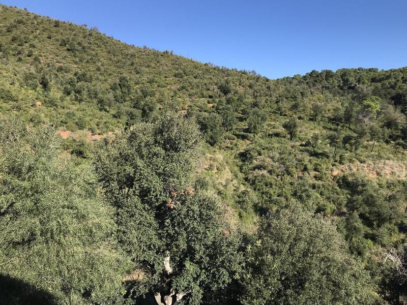 Finca Bell-Lloc image