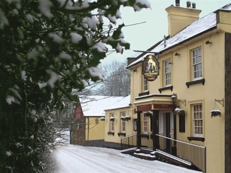 The Greyhound Wigginton image